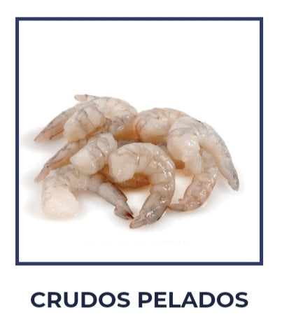 CAMARON 26-30 CRUDO PELADO DESVENADO ASIATICO