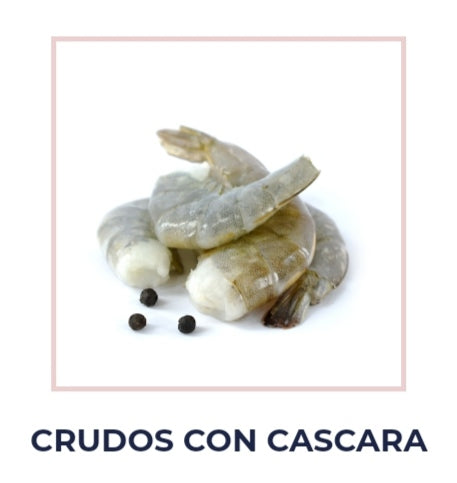 CAMARON 36/40 CON CASCARA CRUDO